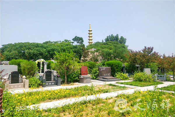 墓区景观绿化
