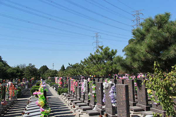 朝阳陵园地址在哪里？朝阳陵园墓地价格多少钱？