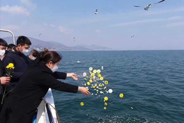 北京生态葬怎么选?海葬、树葬、壁葬优缺点与适用家庭详解