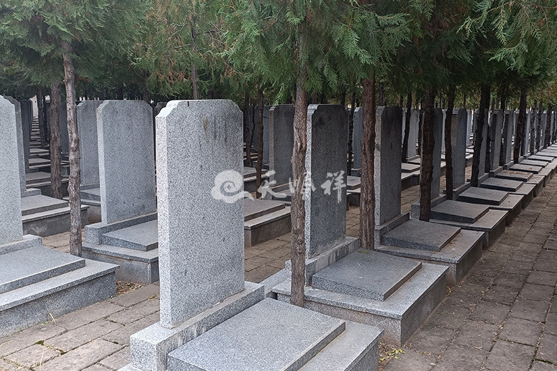 九龙山生态陵园墓碑展示