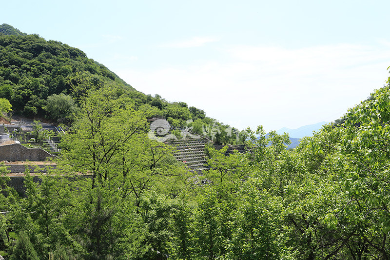 九公山陵园墓区实拍