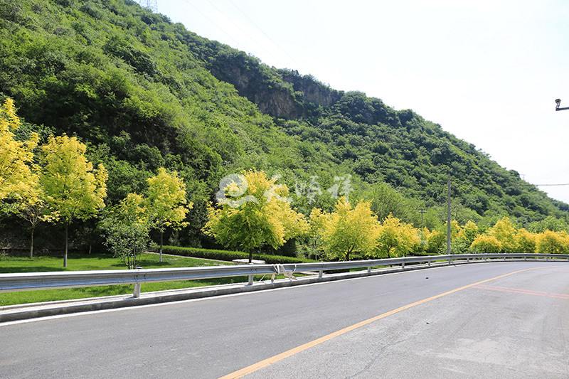 九公山陵园道路景观