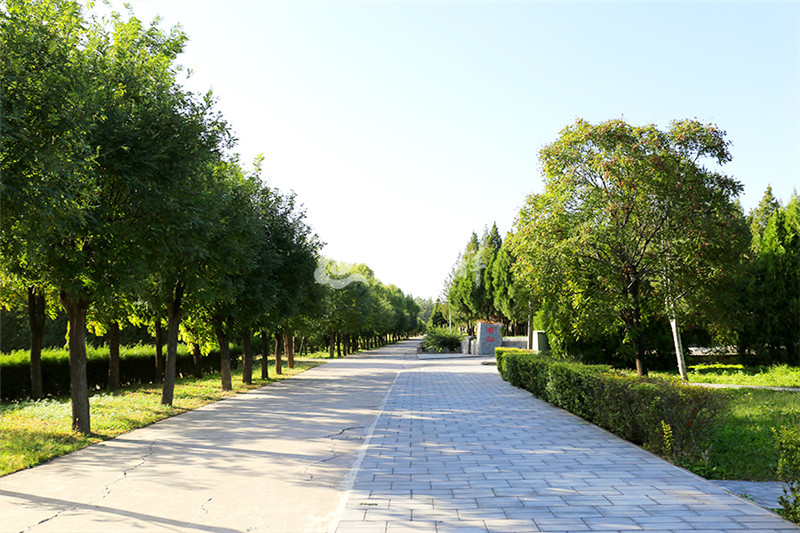 太子峪陵园道路景观