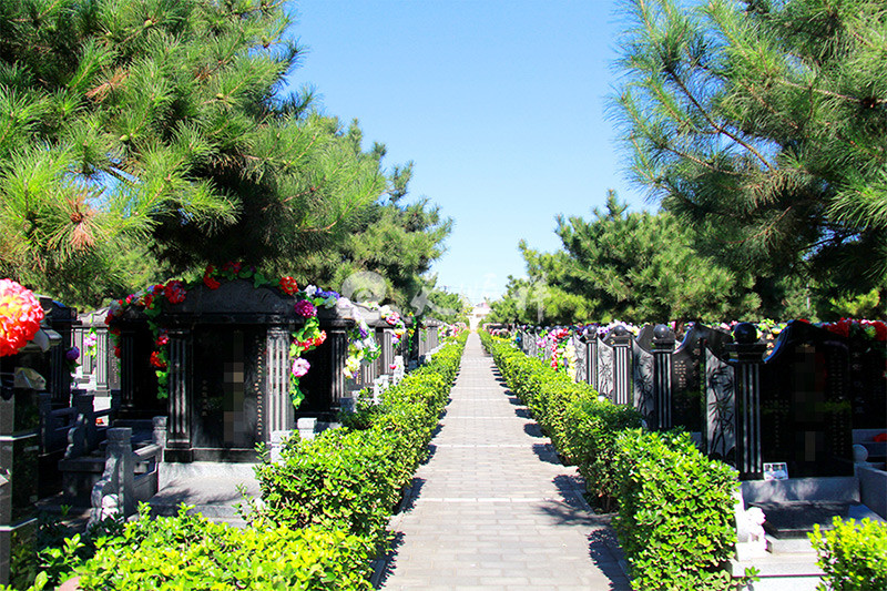 朝阳陵园墓区绿化