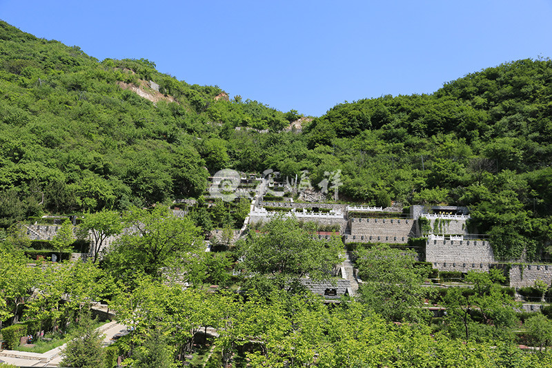 九公山长城纪念林