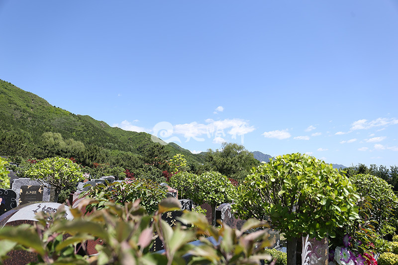 天寿陵园墓区景观