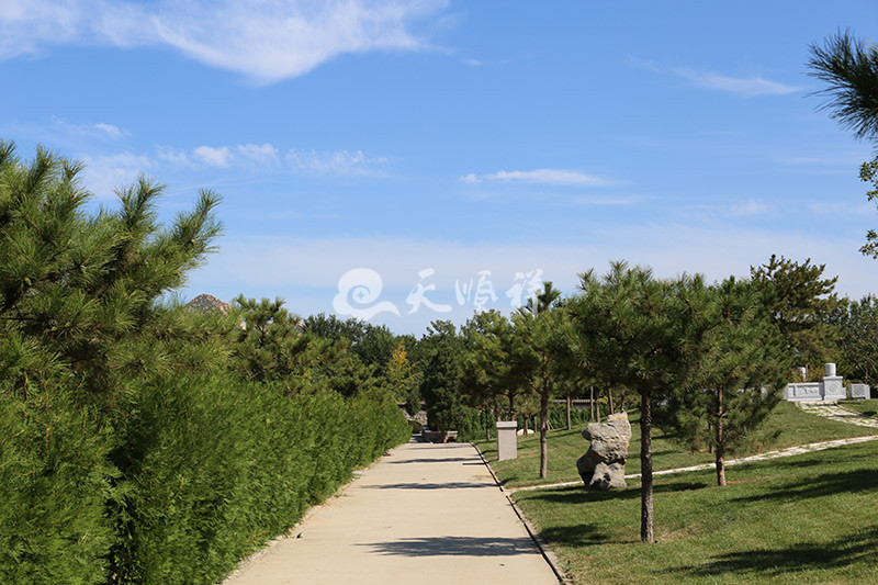 长安园公墓道路景观