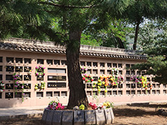 北京合法的树葬陵园有哪些？北京树葬公墓有使用年限吗价格多少？