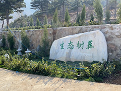 树葬有几千块钱的吗？北京树葬价格需要多少钱哪家最好？