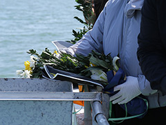 海葬对死者好吗？海葬和树葬哪个好？北京海葬去哪里申请？