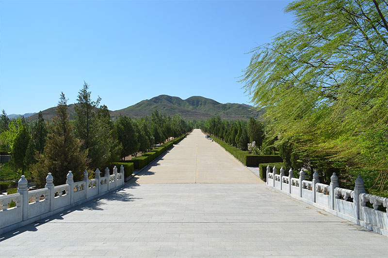 背靠龙宝山