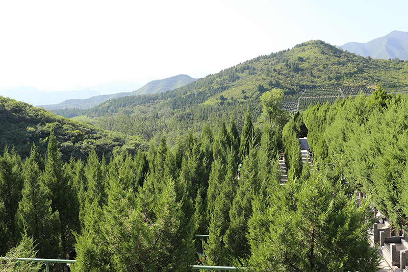 十三陵景仰园风景