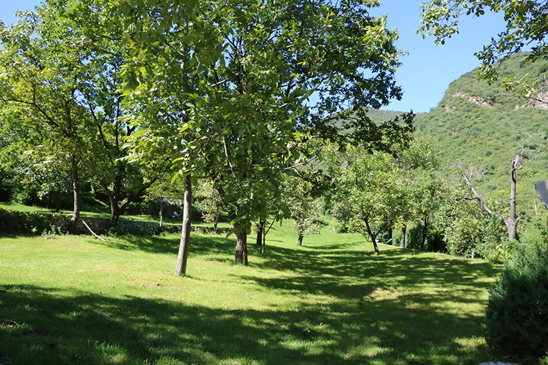 九公山长城纪念林景观