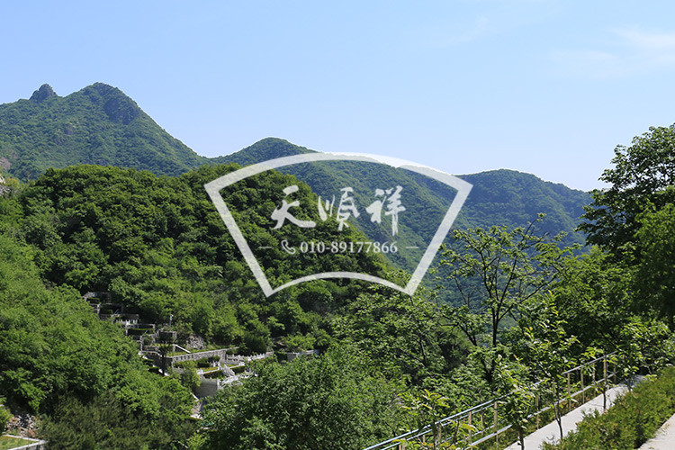 九公山陵园墓区实拍