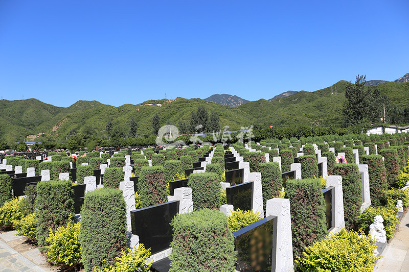 凤凰山陵园墓区景观